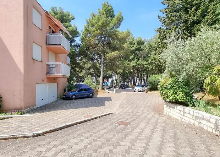 Matteo * Novigrad Istria